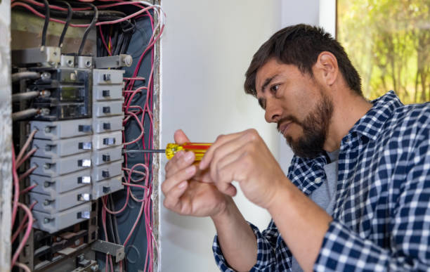 Best Ceiling Fan Installation Electrician  in Norfolk, NE